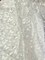 1 Yard White 3D Butterfly Satin Mesh Fabric on Stretch Tulle for Dresses and Accessories 54 Inch Wide